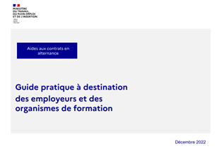 miniature guide aides exceptionnelles entreprises