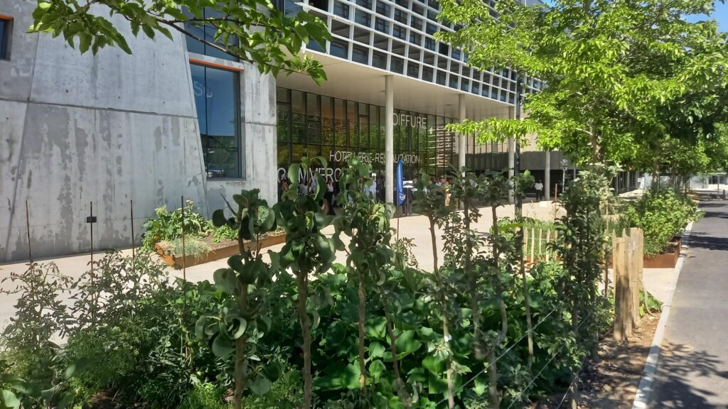 aménagements extérieurs Campus Pierre Cointreau