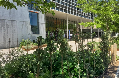 aménagements extérieurs campus pierre cointreau Angers