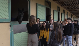 Bicentenaire cadre noir