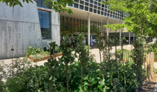 aménagements extérieurs campus pierre cointreau Angers