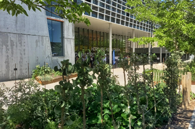 aménagements extérieurs campus pierre cointreau Angers